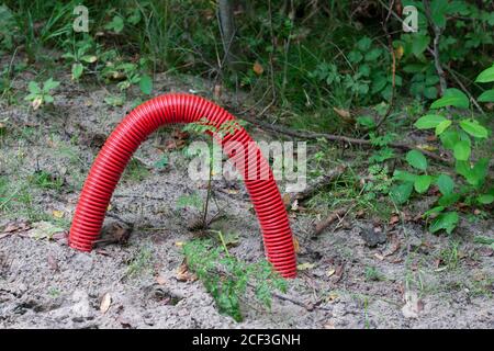 Tubo corrugato rosso per cavi elettrici interrati nel terreno. Foto Stock