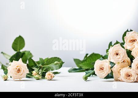 Delicato fiori beige rose su sfondo chiaro. Foto Stock