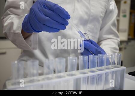 Scienziato che lavora in un laboratorio di chimica analitica. Per analizzare un campione, usare una pipetta e delle provette Foto Stock