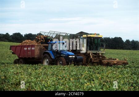 Riecam RBM 300-5, Bawdsey, Suffolk, Inghilterra. Foto Stock