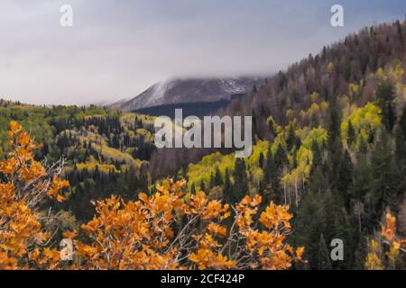 Le conifere e gli aspen hanno coperto i pendii boschivi delle montagne di la SAL, dello Utah, USA, con le vette di montagna più alte sullo sfondo Foto Stock