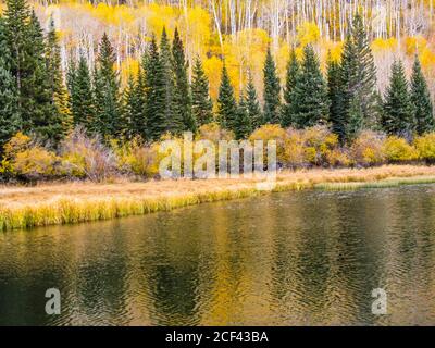 I pendii boschivi delle montagne la SAL, nello Utah USA, ricoperti di abeti Douglas e di alberi di Aspin che si riflettono nelle acque calme del lago Warner Foto Stock
