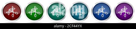 DNA, icone di modificazione genetica, set di bottoni in argento metallico lucido in 6 opzioni di colore isolato su sfondo bianco Foto Stock