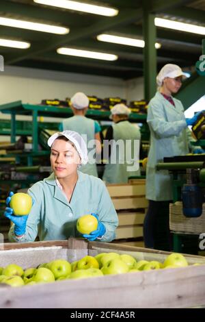 Lavoratrice che smistamento e preparazione di mele per il confezionamento in fabbrica, lavoratori in background Foto Stock