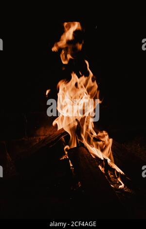 Fiamme gialle che si innalzano dal falò su pezzi di legno dentro natura di notte Foto Stock