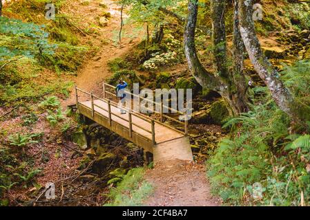 Dall'alto vista posteriore irriconoscibile turista che si erge su un ponte di legno e guardando il paesaggio naturale nella foresta mentre si scattano foto con fotocamera Foto Stock