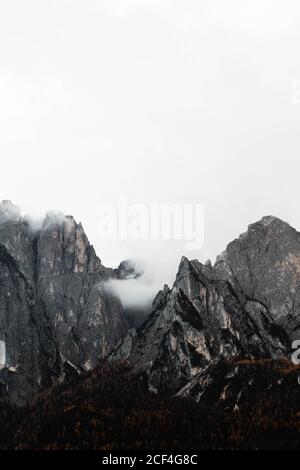 Pineta con potente grande scogliera e cielo sovrastato Sfondo delle Dolomiti innevate in Italia Foto Stock