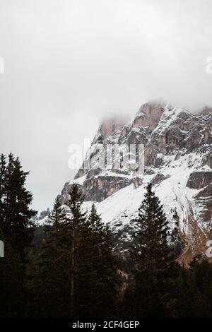 Pineta con potente grande scogliera e cielo sovrastato Sfondo sulle montagne innevate delle Dolomiti in Italia Foto Stock