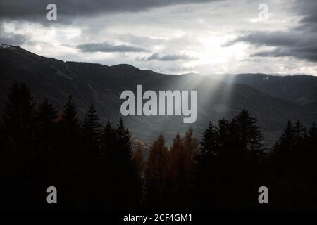Pineta con potente scogliera e cielo foggoso Sullo sfondo delle Dolomiti in Italia Foto Stock