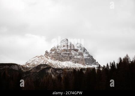 Pineta con potente grande scogliera e cielo sovrastato Sfondo delle Dolomiti in Italia Foto Stock