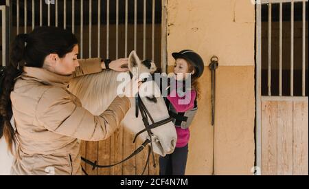 Bella ragazza giovane e carina in casco mettere briglia su cavallo bianco mentre si sta vicino a bancarelle in stalla durante la lezione di equitazione sul ranch Foto Stock