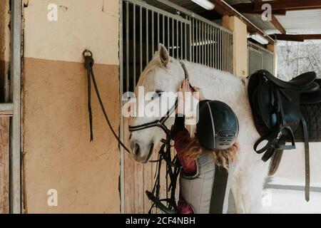 Vista posteriore della bambina in casco mettendo sulla briglia su un cavallo bianco mentre si è in piedi vicino alla stalla durante l'equitazione lezione in giornata di sole sul ranch Foto Stock