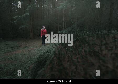 Donna viaggiatore in giacca calda a piedi sulla foresta durante la visita Tollymore Forest Park nell'Irlanda del Nord in primavera Foto Stock