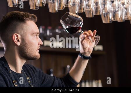 Focalizzato giovane maschio sommelier in suite guardando il vino rosso in vetro su sfondo bianco Foto Stock