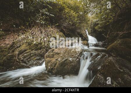 Paesaggio primaverile di parco forestale con piccolo fiume che scorre Tra alberi antichi e pietre ricoperte di muschio nel Nord Irlanda Foto Stock