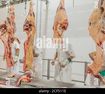 Buenos Aires, città meridionale di Mar del Plata, Argentina - 07 MAGGIO 2015: Macellai in bianco uniforme maneggiando con carcasse di animali appese su ganci Foto Stock