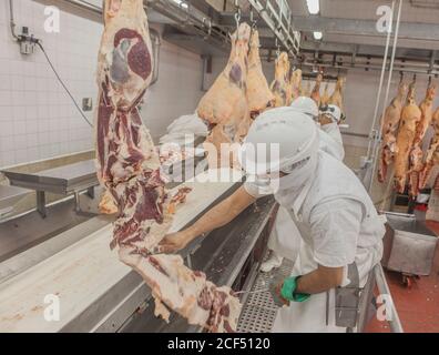 Buenos Aires, città meridionale di Mar del Plata, Argentina - 07 MAGGIO 2015: Macellai in bianco uniforme maneggiando con carcasse di animali appese su ganci Foto Stock