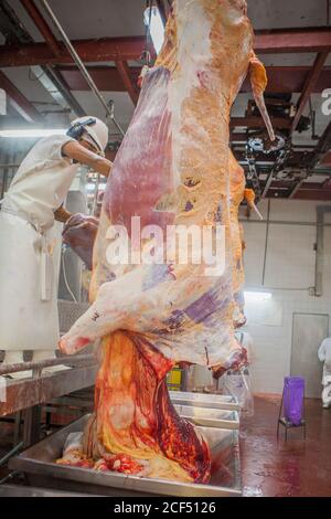 Buenos Aires, città meridionale di Mar del Plata, Argentina - 07 MAGGIO 2015: Macellai in bianco uniforme maneggiando con carcasse di animali appese su ganci Foto Stock