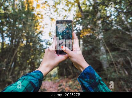 Da sotto di mani di ritaglio in camicia plaid scattare foto di alberi d'autunno sul telefono cellulare con boschi su sfocato sfondo Foto Stock