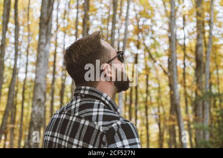 Vista laterale del viaggiatore maschile con bearded in una camicia casual con plaid e occhiali da sole alla moda in piedi ed esplorando alberi autunnali nella foresta Foto Stock