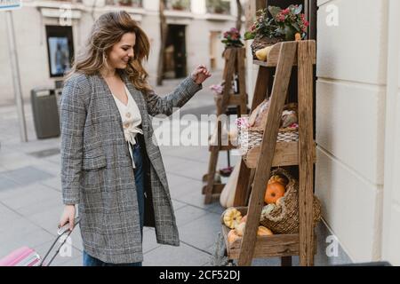 Vista laterale della bella donna con valigia sorridente e guardando i generi alimentari su scaffali di legno vicino al negozio sulla strada della città Foto Stock