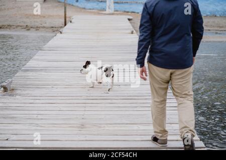 anonimo adulto maschio in giacca calda che cammina con macchiato francese Bulldog sul molo in legno e vista sulle ondate del mare il giorno torto Foto Stock