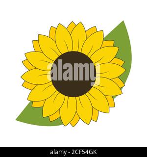 Girasole fiore con foglie vettore isolato illustrazione Illustrazione Vettoriale