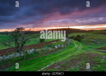 Portesham, Dorset, Regno Unito. 3 settembre 2020. Regno Unito Meteo. Vista verso il monumento Hardy dalla strada a ponte del South Dorset Ridgeway vicino a Portesham in Dorset al tramonto, con le nuvole scure della pioggia che si illuminano alla fine di una giornata bagnata. Picture Credit: Graham Hunt/Alamy Live News Foto Stock