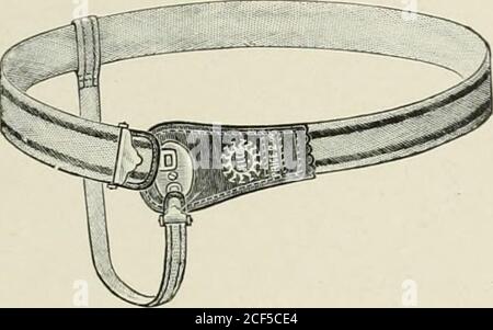 . Ernia addominale : la sua diagnosi e trattamento. Varietà siderabile di bretsues buoni sono fatti bystimable produttori, che sono molto disposti a fare ogni variazione che i medici possono suggerire nella loro construction.The differenza tra tali capriate è in gran parte in dettaglio ofconstruction, i tipi essendo essenzialmente lo stesso, e nessuno di questi interventi non può essere menzionato in alcun modo dai grandi produttori. Gli Stati Uniti sono i leader dell'inproduzione mondiale; in realtà, è sicuro dire che in questo paese si fanno più capriate che in tutto il resto del mondo messi insieme. CLASSIFI Foto Stock