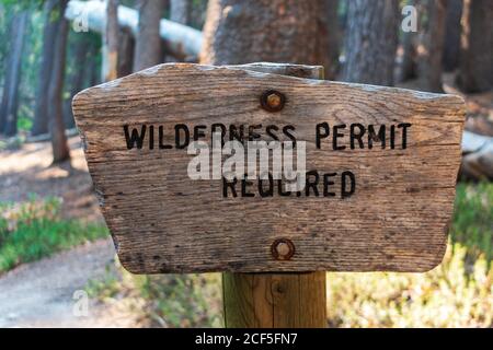 Permesso di deserto richiesto segno sul palo di legno nella foresta nazionale. Foto Stock