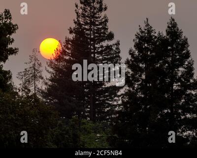 Smoky Sunset Skies dalla California Wildfire Foto Stock