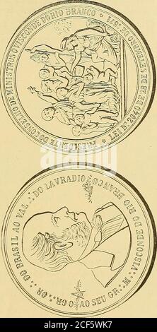 . Monastero americano (ilustrado) classificado. CAMPANA DEL PARAGUAYN° 1086 - Cruz de cuatro brazos. Anverso en el campo: Campauha do Paraguay, encorona de encina. Reverso en el campo: 18-70 en corona de encina. Cinta con los colores brasileros y argentinos y pasador deplata, (i) Bronce: Peso 5 grammi. 2 decíg. N 10S7 - la misma. Bronce: Peso i gramo. (i) Esta fué la medalla que el Brasil Dio al Ejército Argentino. 305. N 1088-Anverso Leyenda o Gr.-. Oppure.-, do Brasil ao Val,-, doLavradio ao Seu Gr.-. M.-. Visconde do Rio Branco. En el campo: BUSTO á la derecha; á los lados, símbolosmasónicos. Reverso Foto Stock