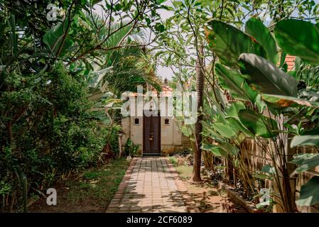 Passerella in pietra che conduce all'ingresso di cottage circondato da esotici Piante in giornata di sole a Bali Foto Stock