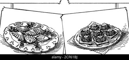 . Il libro di cuoco di scienza domestica standard. CAVOLO-SAVbiJSTUfPED CAUliIFbOWER.WITH-OVES.^ CHEESU-SAOFIE. i ^^^^-P^ATO-,^, n eREW^-SA«&lt;^^-^^^^* 1 Copyright, 1908, by Wm. H. Lee. Foto Stock