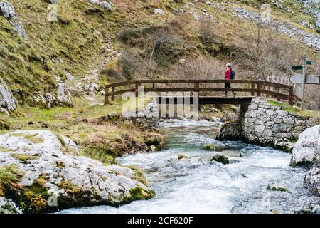 Vista laterale del turista entusiasta donna in giacca rossa con zaino a piedi per le montagne attraverso il ponte di legno nel villaggio in vette d'Europa, Asturie, Spagna Foto Stock