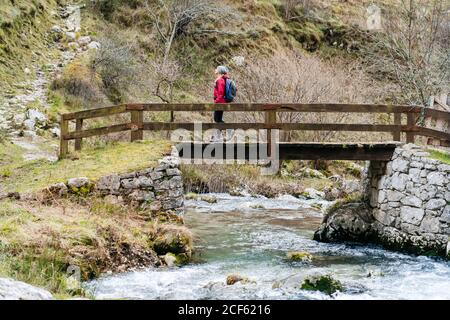 Vista laterale del turista entusiasta donna in giacca rossa con zaino a piedi per le montagne attraverso il ponte di legno nel villaggio in vette d'Europa, Asturie, Spagna Foto Stock