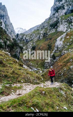 Donna attiva escursionista in giacca rossa con zaino pesante che guarda la fotocamera mentre cammina in montagna in vette d'Europa, Asturie, Spagna Foto Stock