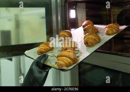 Crop mano in nero guanto da cucina che si estrae dal forno croissant appena sfornati all'interno Foto Stock