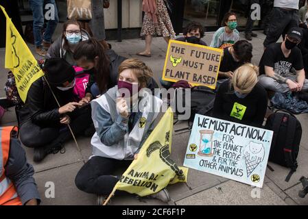 Londra, Regno Unito. 3 settembre 2020. Gli attivisti per i diritti degli animali della ribellione animale mostrano solidarietà con altri attivisti che si erano incollati in cima e all'interno di un camion per bloccare il Dipartimento di Salute e cura sociale. Gli attivisti della ribellione animale protestano in solidarietà con le vittime del sistema alimentare globale e chiedono che il Regno Unito passi verso un sistema alimentare sostenibile basato su piante. Credit: Mark Kerrison/Alamy Live News Foto Stock