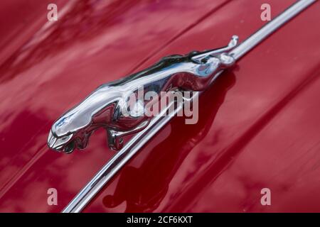 L'ornamento del cofano jaguar su una classica vettura sportiva Jaguar XK150 S del 1959. Foto Stock