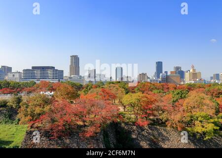 Splendido paesaggio urbano con boschi colorati e sfondo blu del cielo, vista dal Parco del Castello di Osaka, Osaka, Giappone Foto Stock