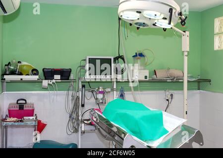 animale domestico senza volto coperto con foglio verde adagiato sul tavolo operatorio in sala chirurgica attrezzata di clinica veterinaria Foto Stock