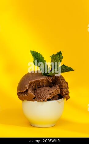 Gelato al cioccolato con foglie di menta Foto Stock