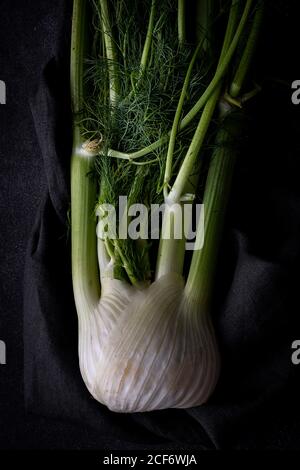 Da sopra cibo sano e sano di finocchio crudo biologico fresco Foto Stock