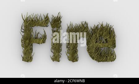 Fuoco - parola gialla 3d isolato su sfondo bianco, rappresentazione illustrazione, lingue realistiche di fiamma bruciante, pelliccia pelt. Vigili del fuoco logo design templa Foto Stock