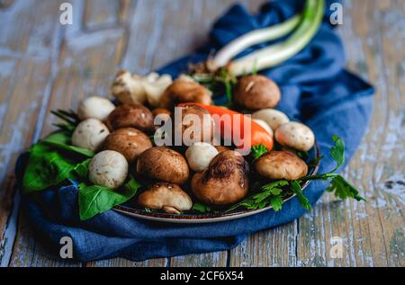 Assortimento di funghi selvatici con cipolle, peperoncini, timo, rosmarino e basilico su sfondo grigio. Concetto di cibo vegano. Macro Foto Stock