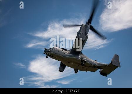 Una base dell'aeronautica di Cannon CV-22 Osprey vola giù per raccogliere i membri del 146th Air Support Operations Squadron, da Will Rogers Air National Guard base in Oklahoma City, dopo che hanno compiuto uno scenario di salvataggio per il personale danneggiato e isolato durante Sentry Rescue III, 25 agosto 2020, A Fort Sill, Oklahoma. Sentry Rescue III è un evento di formazione che integra le entità Combat Air Force e Air Force Special Operations per sviluppare tattiche, tecniche e procedure per scenari di recupero del personale. (STATI UNITI Air National Guard foto di staff Sgt. Brigette Waltermire) Foto Stock