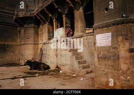 Varanasi, India - Febbraio, 2018: Irriconoscibile maschio indiano seduto nel buco della finestra di vecchio edificio in pietra e mucca nera che giace nel cortile Foto Stock