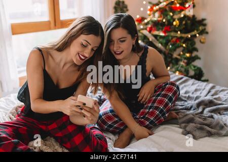 Due donne amici in vacanze invernali a casa guardando qualcosa sul telefono cellulare vicino albero di natale in interni accoglienti. Interni con decorazioni natalizie. Foto Stock