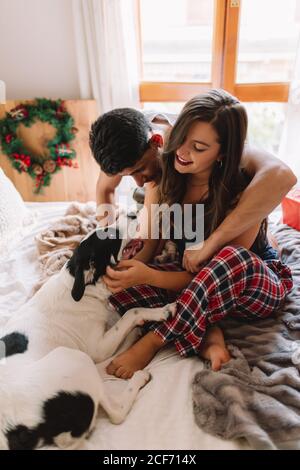 Giovane coppia che accarezza il proprio cane a letto a casa vicino all'albero di natale in interni accoglienti. Interni con decorazioni natalizie. Foto Stock